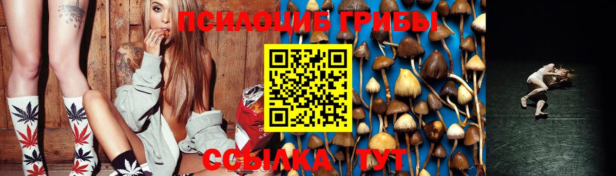 Кропоткин  Галлюциногенные грибы Cubensis  Вход с VPN 
